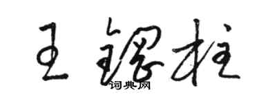 駱恆光王鋼柱草書個性簽名怎么寫