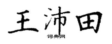 丁謙王沛田楷書個性簽名怎么寫