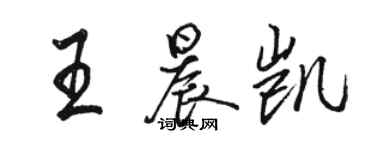 駱恆光王晨凱行書個性簽名怎么寫