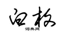 朱錫榮白枚草書個性簽名怎么寫