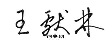 駱恆光王獻林草書個性簽名怎么寫