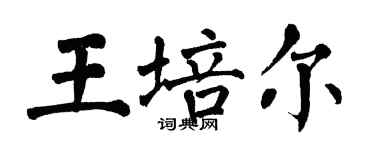 翁闓運王培爾楷書個性簽名怎么寫