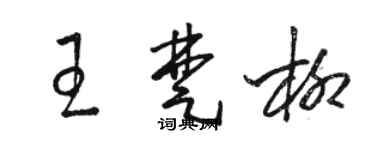駱恆光王楚柳草書個性簽名怎么寫
