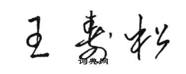 駱恆光王壽松草書個性簽名怎么寫