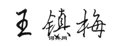 駱恆光王鎮梅行書個性簽名怎么寫