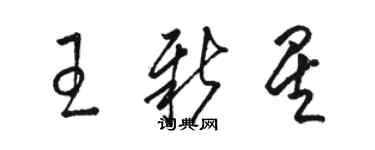 駱恆光王新星草書個性簽名怎么寫