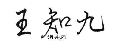 駱恆光王知九行書個性簽名怎么寫