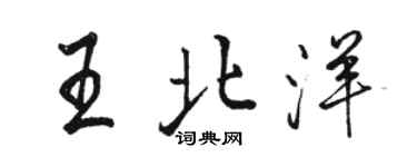 駱恆光王北洋行書個性簽名怎么寫