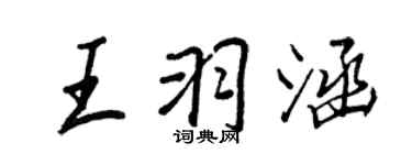 王正良王羽涵行書個性簽名怎么寫