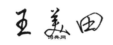 駱恆光王美田行書個性簽名怎么寫