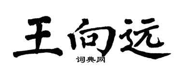 翁闓運王向遠楷書個性簽名怎么寫