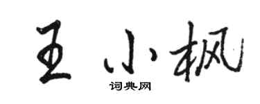 駱恆光王小楓行書個性簽名怎么寫