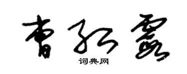 朱錫榮曹紅霞草書個性簽名怎么寫