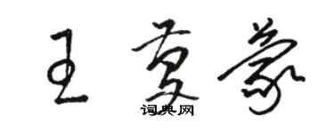 駱恆光王慶蒙草書個性簽名怎么寫