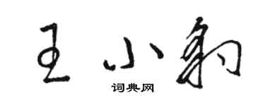 駱恆光王小豹草書個性簽名怎么寫