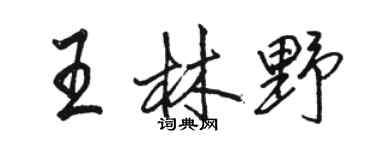 駱恆光王林野行書個性簽名怎么寫