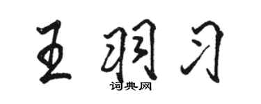 駱恆光王羽習行書個性簽名怎么寫