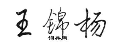 駱恆光王錦楊行書個性簽名怎么寫