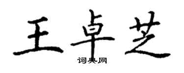 丁謙王卓芝楷書個性簽名怎么寫