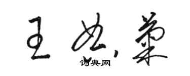 駱恆光王典菊草書個性簽名怎么寫