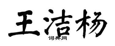 翁闓運王潔楊楷書個性簽名怎么寫