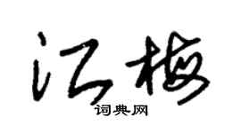 朱錫榮江梅草書個性簽名怎么寫