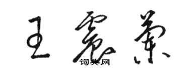 駱恆光王震蘭草書個性簽名怎么寫