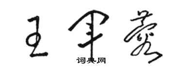 駱恆光王軍蓉草書個性簽名怎么寫