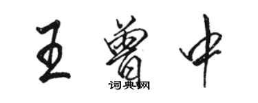 駱恆光王曾中行書個性簽名怎么寫