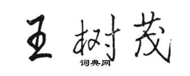 駱恆光王樹茂行書個性簽名怎么寫