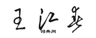 駱恆光王江春草書個性簽名怎么寫