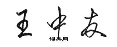 駱恆光王中友行書個性簽名怎么寫