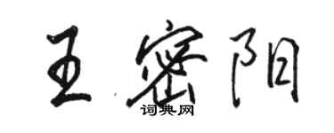 駱恆光王密陽行書個性簽名怎么寫