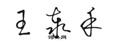 駱恆光王泰禾草書個性簽名怎么寫