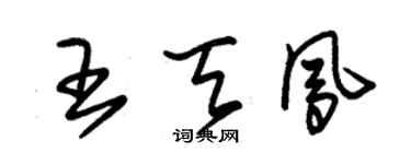 朱錫榮王天鳳草書個性簽名怎么寫