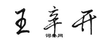 駱恆光王辛開行書個性簽名怎么寫