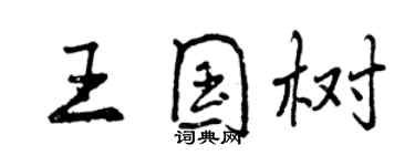 曾慶福王國樹行書個性簽名怎么寫