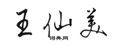 駱恆光王仙美行書個性簽名怎么寫