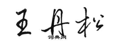 駱恆光王丹松行書個性簽名怎么寫