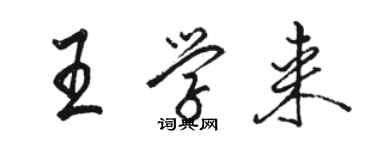 駱恆光王學來行書個性簽名怎么寫