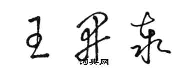 駱恆光王開泰草書個性簽名怎么寫