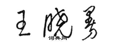 駱恆光王曉曼草書個性簽名怎么寫