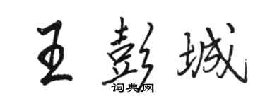 駱恆光王彭城行書個性簽名怎么寫