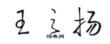 駱恆光王之揚草書個性簽名怎么寫