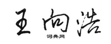 駱恆光王向浩行書個性簽名怎么寫