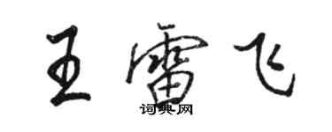 駱恆光王雷飛行書個性簽名怎么寫