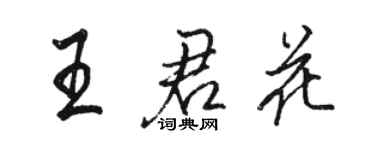 駱恆光王君花行書個性簽名怎么寫