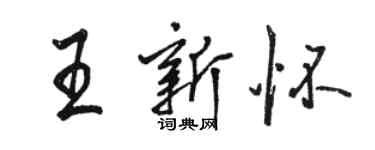 駱恆光王新懷行書個性簽名怎么寫