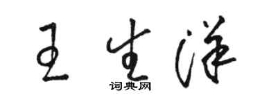 駱恆光王生洋草書個性簽名怎么寫