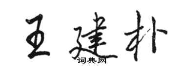 駱恆光王建朴行書個性簽名怎么寫